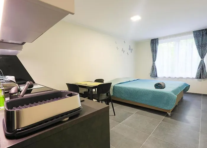 W Parku Lesnym Ul Cicha 1 - Polanicaapartamenty Pl * Polanica-Zdrój